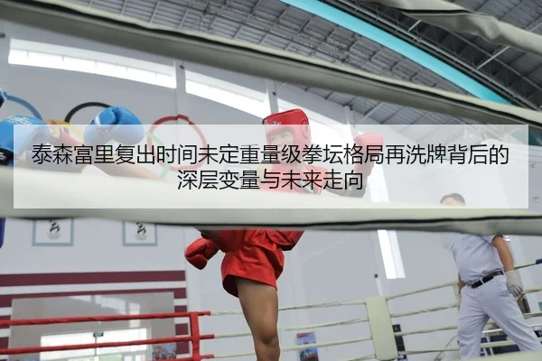 泰森富里复出时间未定重量级拳坛格局再洗牌背后的深层变量与未来走向